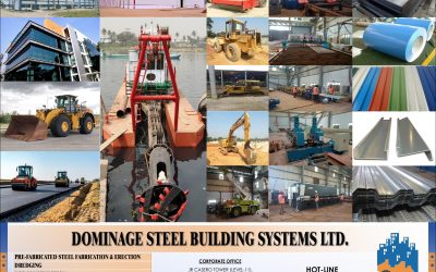 ডমিনেজ স্টিলের ডিভিডেন্ড ঘোষণা