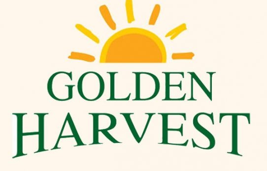 আর্থিক জালিয়াতির প্রমাণ মেলায় অডিট ফার্মের ফাঁসি অনিবার্য