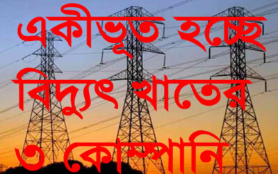 ৩ বিদ্যুৎ প্রতিষ্ঠানকে অধিগ্রহণের সিদ্ধান্ত