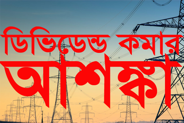 বিদুৎ ও জ্বালানি খাত: ৮ কোম্পানিতে ডিভিডেন্ড বাড়লেও কমতে পারে ১৩টির