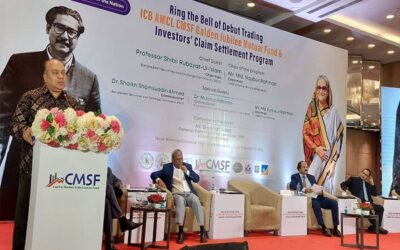 পুঁজিবাজার স্থিতিশীলতা তহবিলের আকার বড় হবে : শিবলী রুবাইয়াত