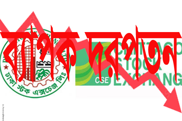 ব্যাপক দরপতনে লেনদেন কমেছে