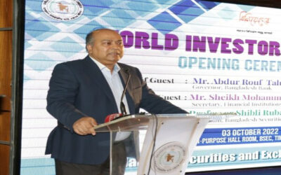 বাজার স্থিতিশীল করতে ক্যাপিটাল মার্কেট স্ট্যাবিলাইজেশন ফান্ড গঠন করেছি : শিবলী রুবাইয়াত