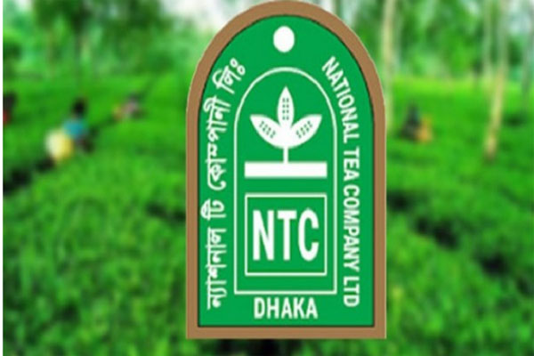 রাইটস ইস্যুর ২৯ কোটি টাকা খরচ, বিএসইসির নির্দেশনা অমান্য করল ন্যাশনাল টি