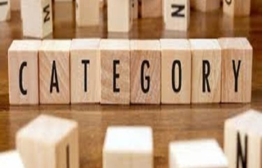 লভ্যাংশ বিতরণে ব্যর্থতায় দুই কোম্পানির ক্যাটাগরিতে অবনমন