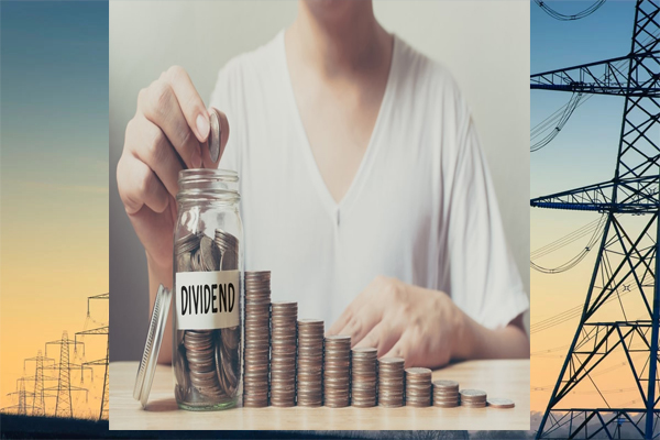 বিদ্যুৎ ও জ্বালানি খাতের ৭ কোম্পানির ডিভিডেন্ড কমেছে