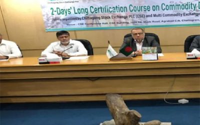 ইক্যুইটি থেকে ভিন্ন কাঠামো, কমোডিটি বাজারে নতুন সম্ভাবনা