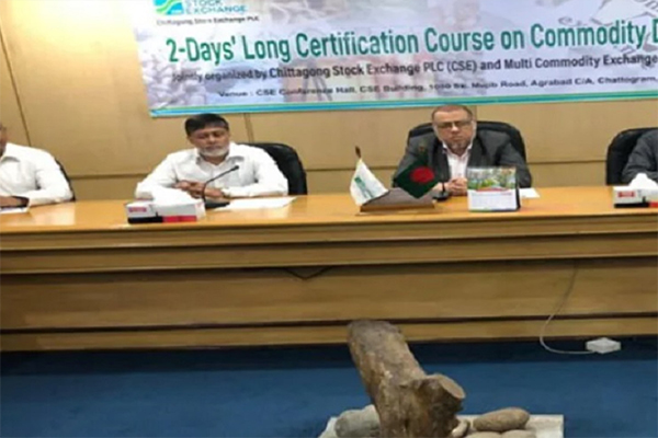 ইক্যুইটি থেকে ভিন্ন কাঠামো, কমোডিটি বাজারে নতুন সম্ভাবনা