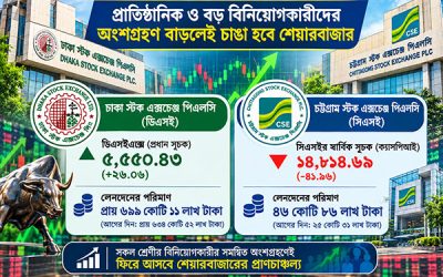 প্রাতিষ্ঠানিক ও বড় বিনিয়োগকারীদের অংশগ্রহণ বাড়লেই চাঙা হবে শেয়ারবাজার